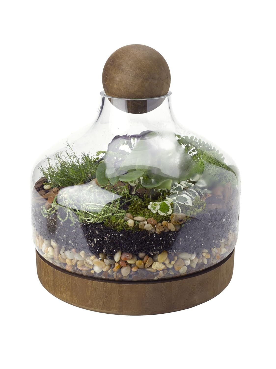 50 Best, Coolest Terrariums Best of Collection Coolest Terrariums Ed
