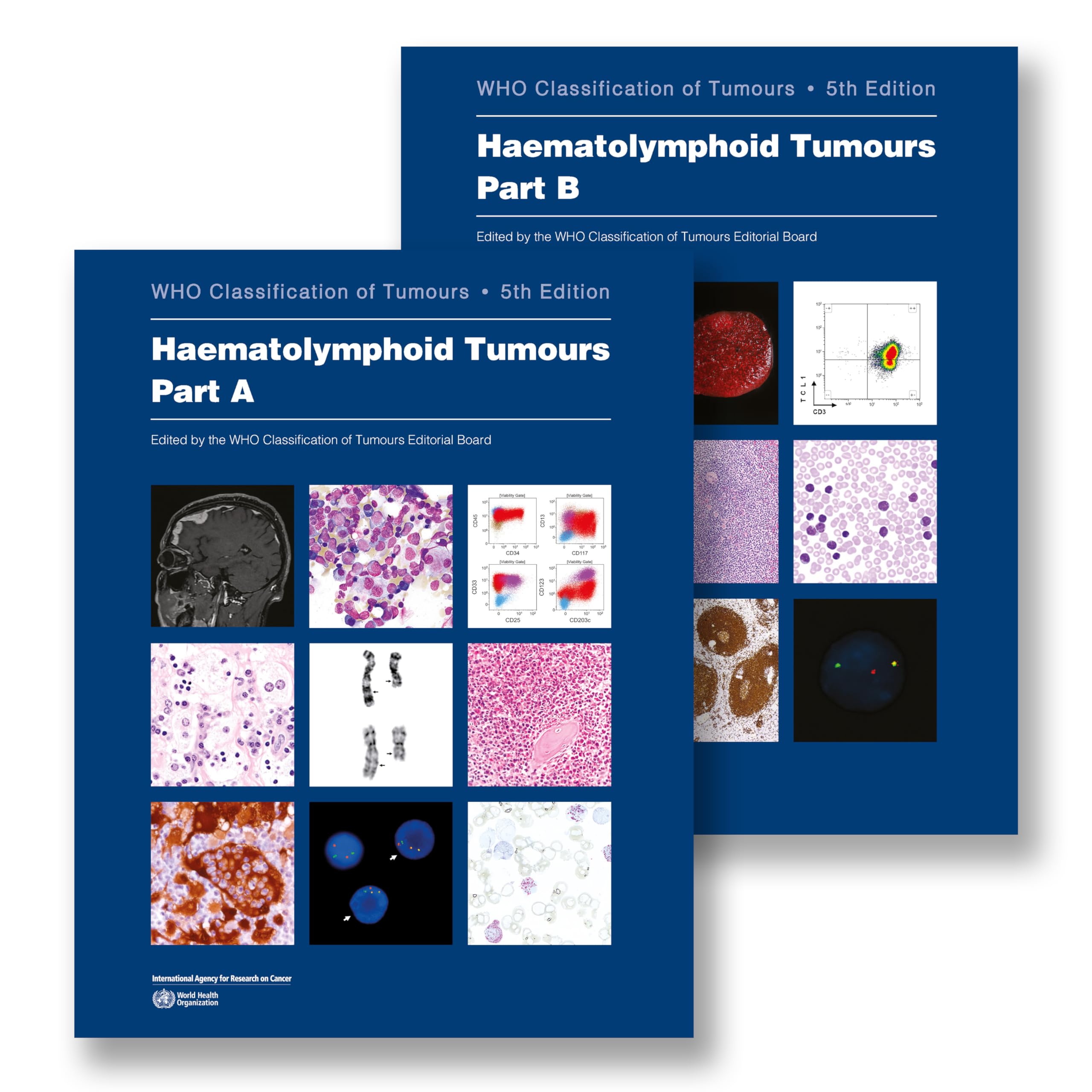 Photo 1 of Haematolymphoid Tumours: WHO Classification of Tumours