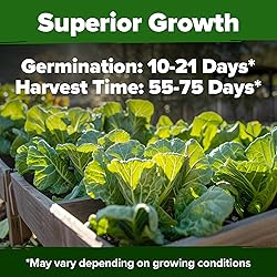 HOME GROWN