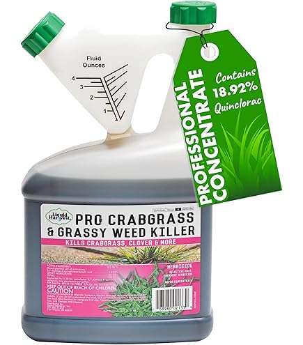 Amazon.com : QuickSilver T&O Herbicide 8oz Carfentrazone-ethyl