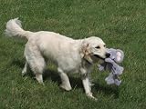 Petface Elephant Rope Body Dog Toy view 4