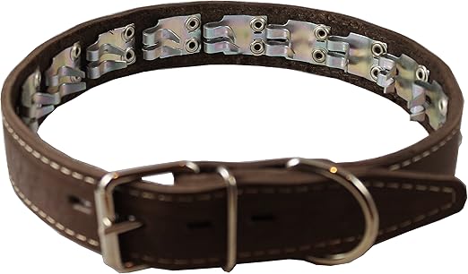 Genuine Leather Studded Dog Collar Fits 