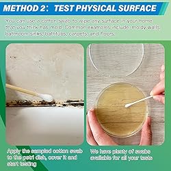 Mold Test Kit for Home - 12 Simple Detection