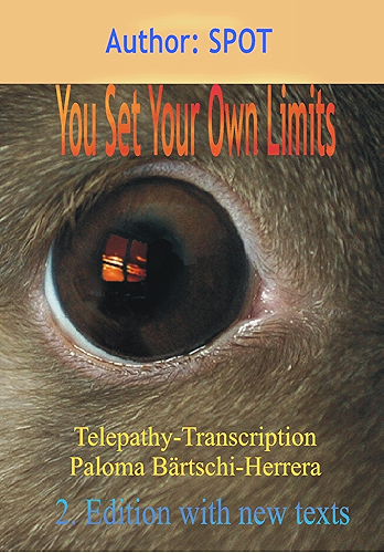 Download You Set Your Own Limits (English Edition) PDF