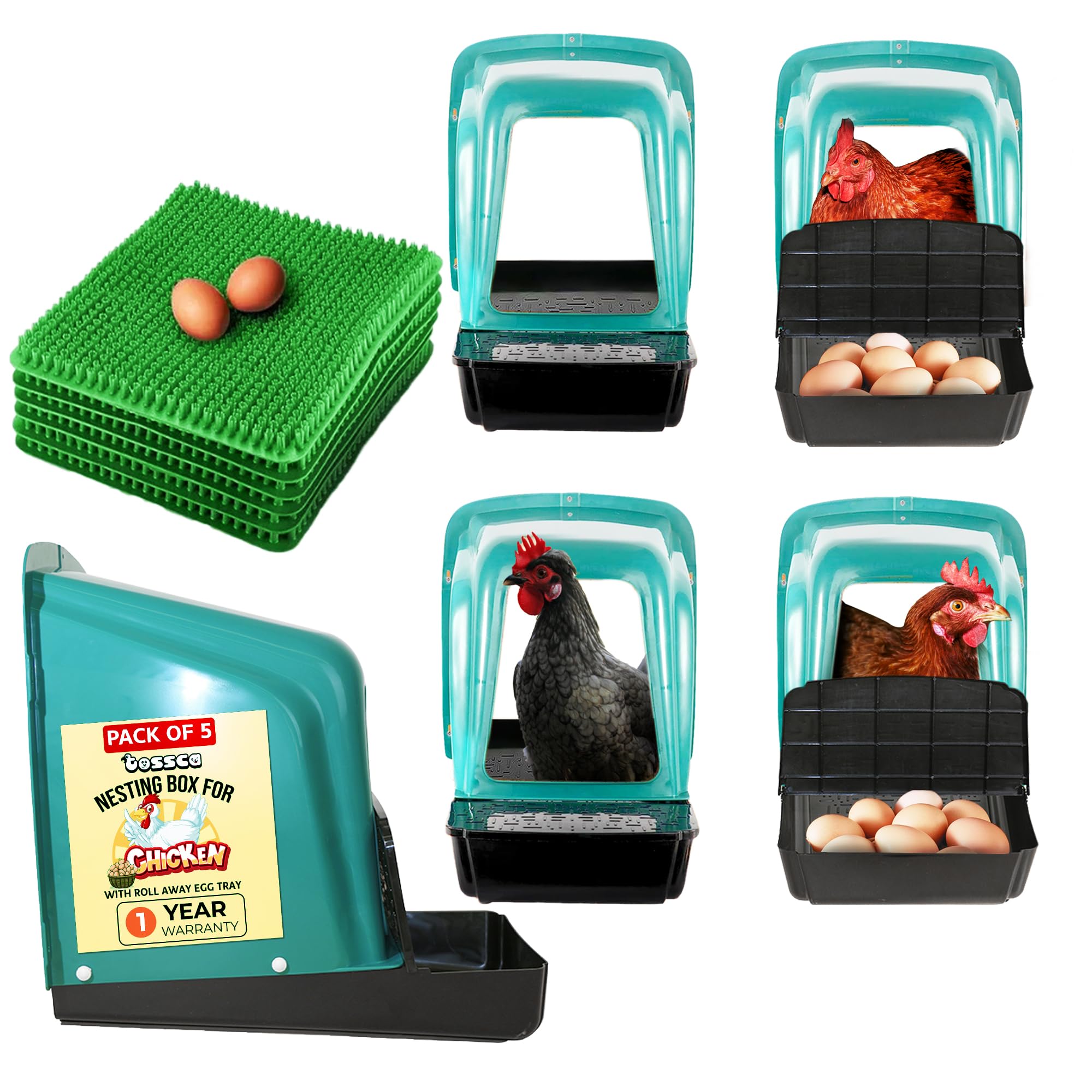 Photo 1 of TOSSCA Nesting Boxes for Chicken Coops | Roll Away Hen House for Laying Eggs | Durable Plastic Chick Brooder Box with Perch & Pull Out Egg Tray for Poultry Farm | Chicken Coop Accessories (Pack of 5)