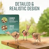 GloBrite Set of 3 Robin Garden Ornaments Hand-Painted Resin Outdoor view 4