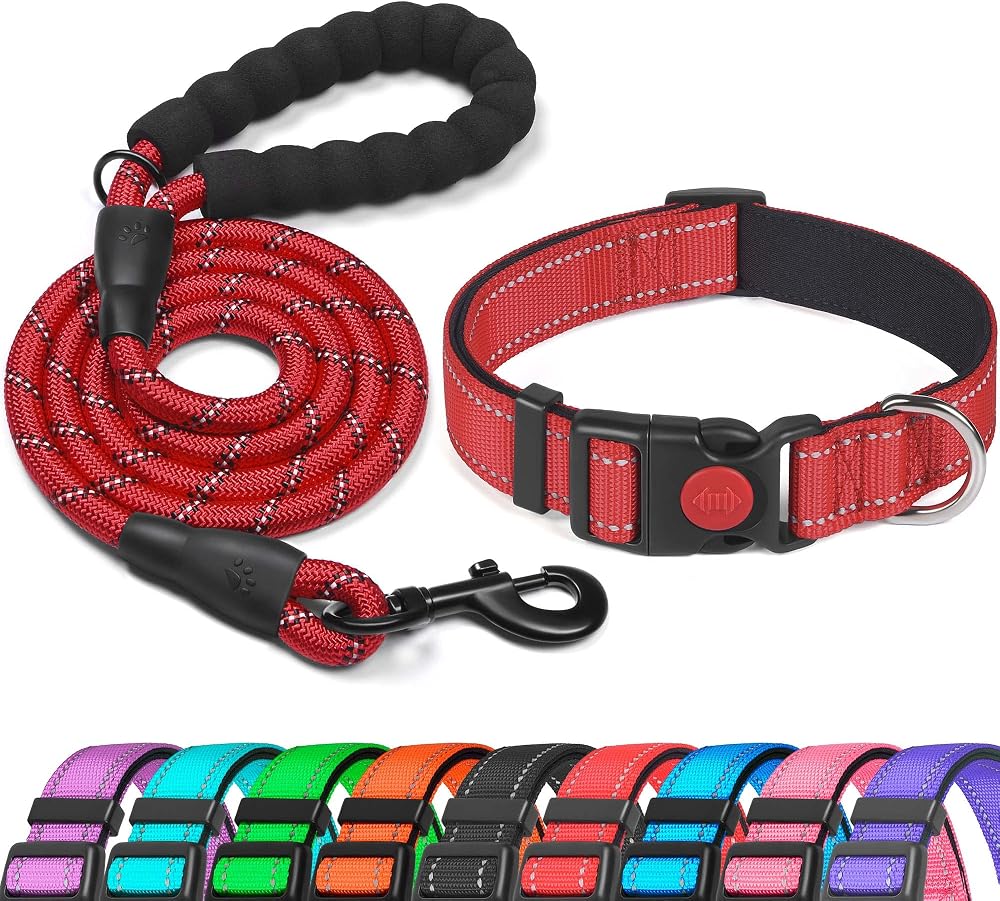 haapaw Reflective Dog Collar with Neoprene Padding Adjustable Nylon