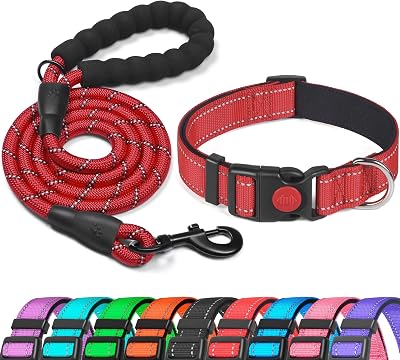 haapaw Reflective Padded Dog Collar with Neoprene | Adjustable Nylon