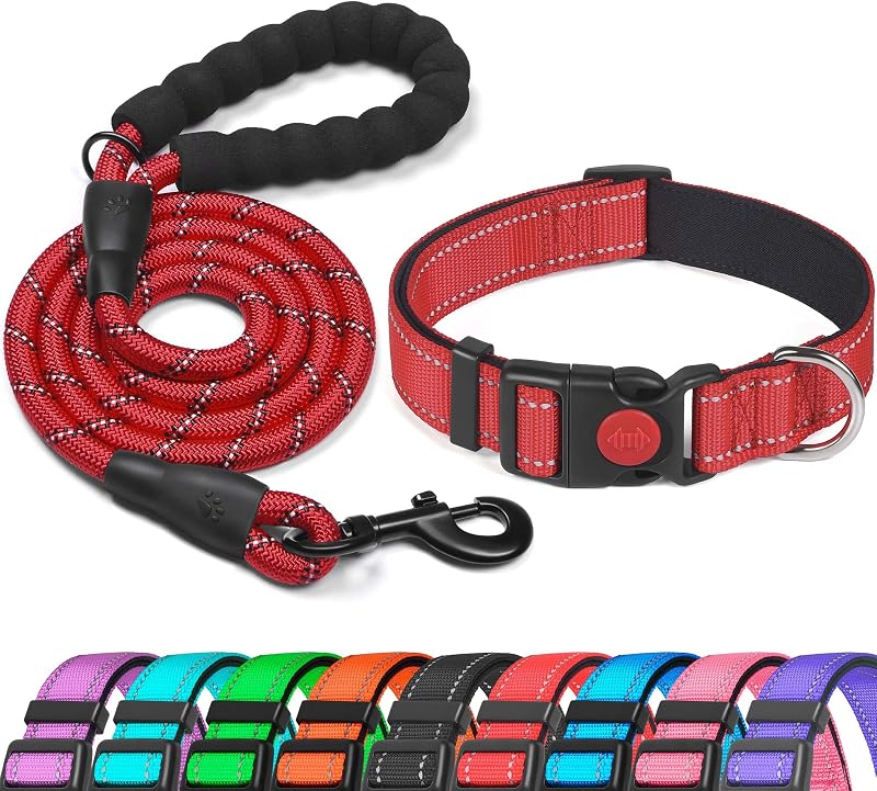 haapaw Reflective Dog Collar with Neoprene Padding Adjustable Nylon