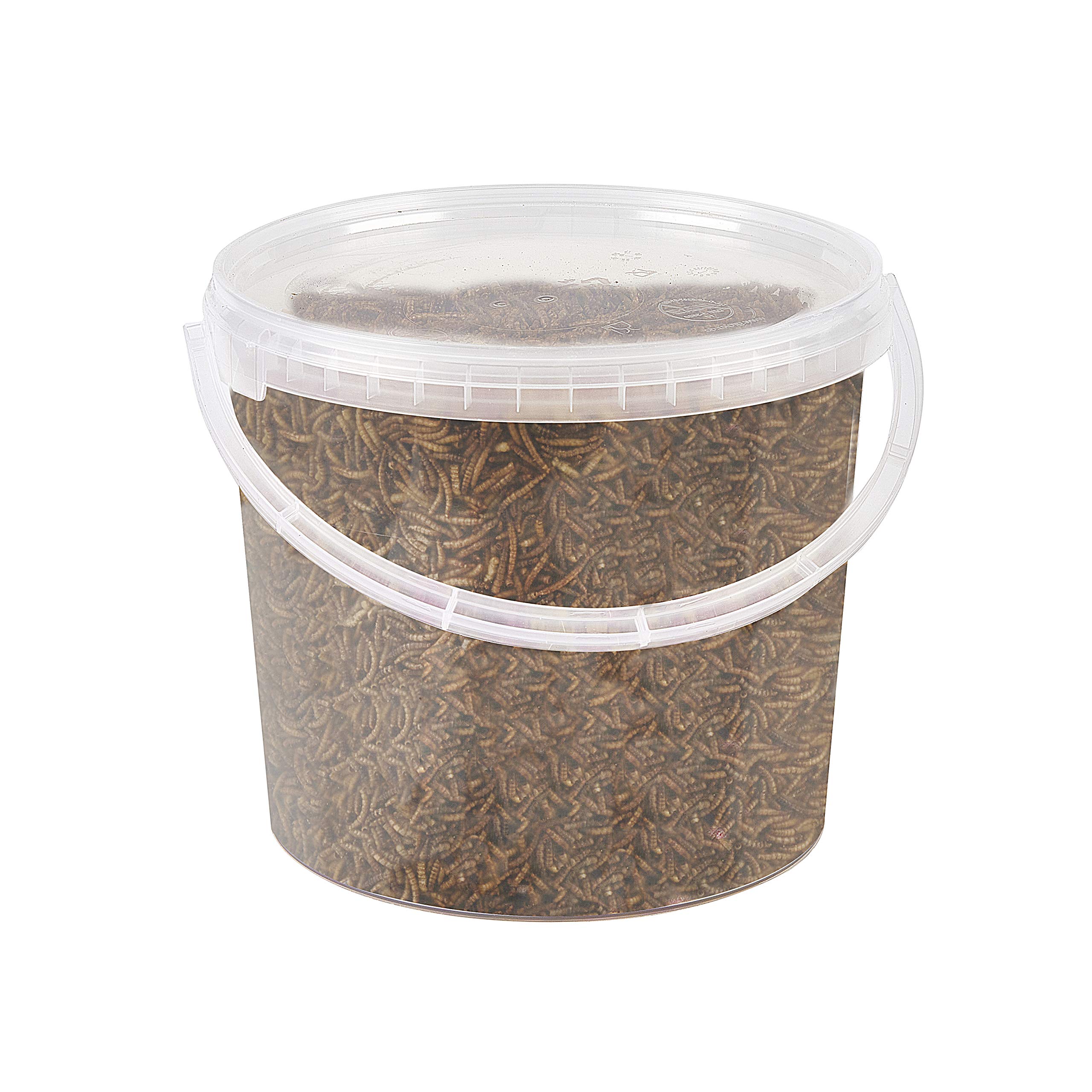 Premium Dried Mealworms, 5 Litre Tub
