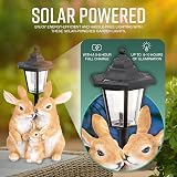 GloBrite Solar Rabbit Family with Lantern Post Light Resin Garden Ornaments view 4
