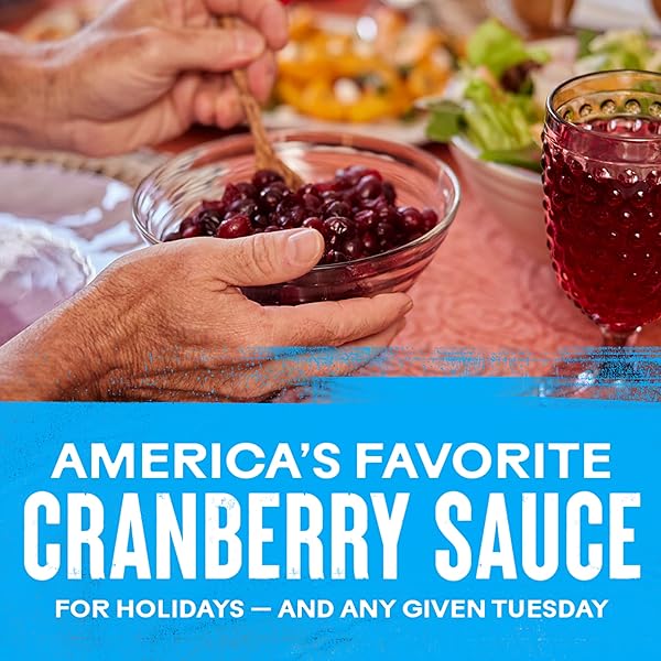 OCEAN SPRAY WHOLE CRANBERRY SAUCE, CANNED SIDE DISH, 14 OZ CAN (PACK OF 1)
