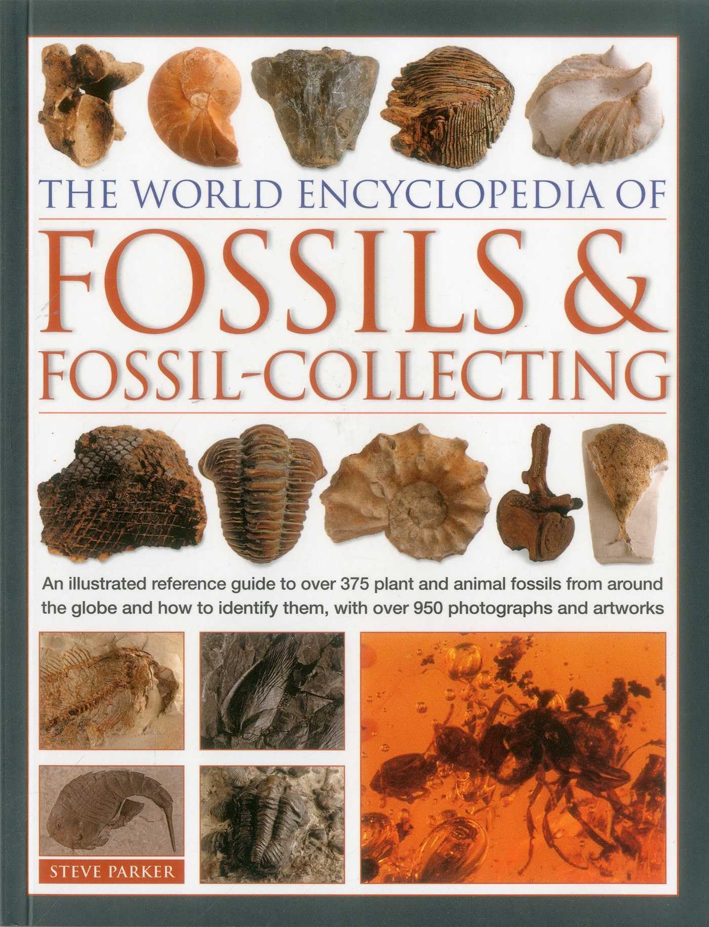 The World Encyclopedia of Fossils & Fossil-Collecting: An Illustrated Reference Guide to Over 375 Plant and Animal Fossils from Around the Globe and ... Them, with Over 950 Photographs and Artworks