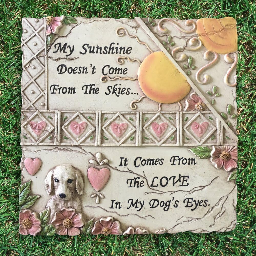 cat harness proper fit