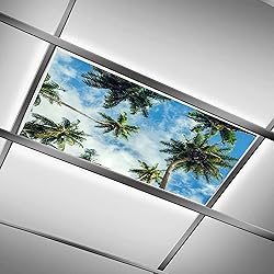 DIQISHIZHU Fluorescent Light Covers for Classroom