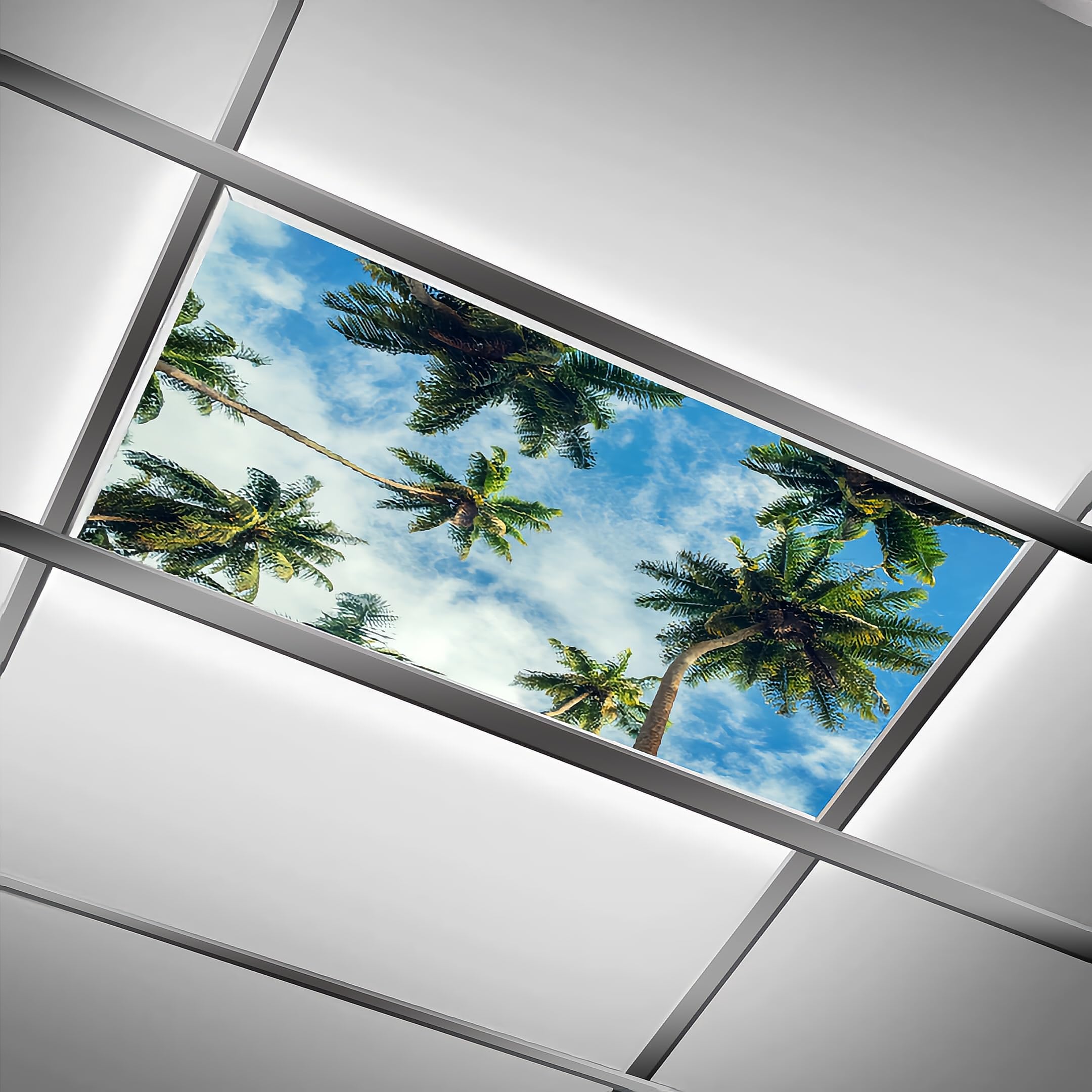 DIQISHIZHU Fluorescent Light Covers for Classroom