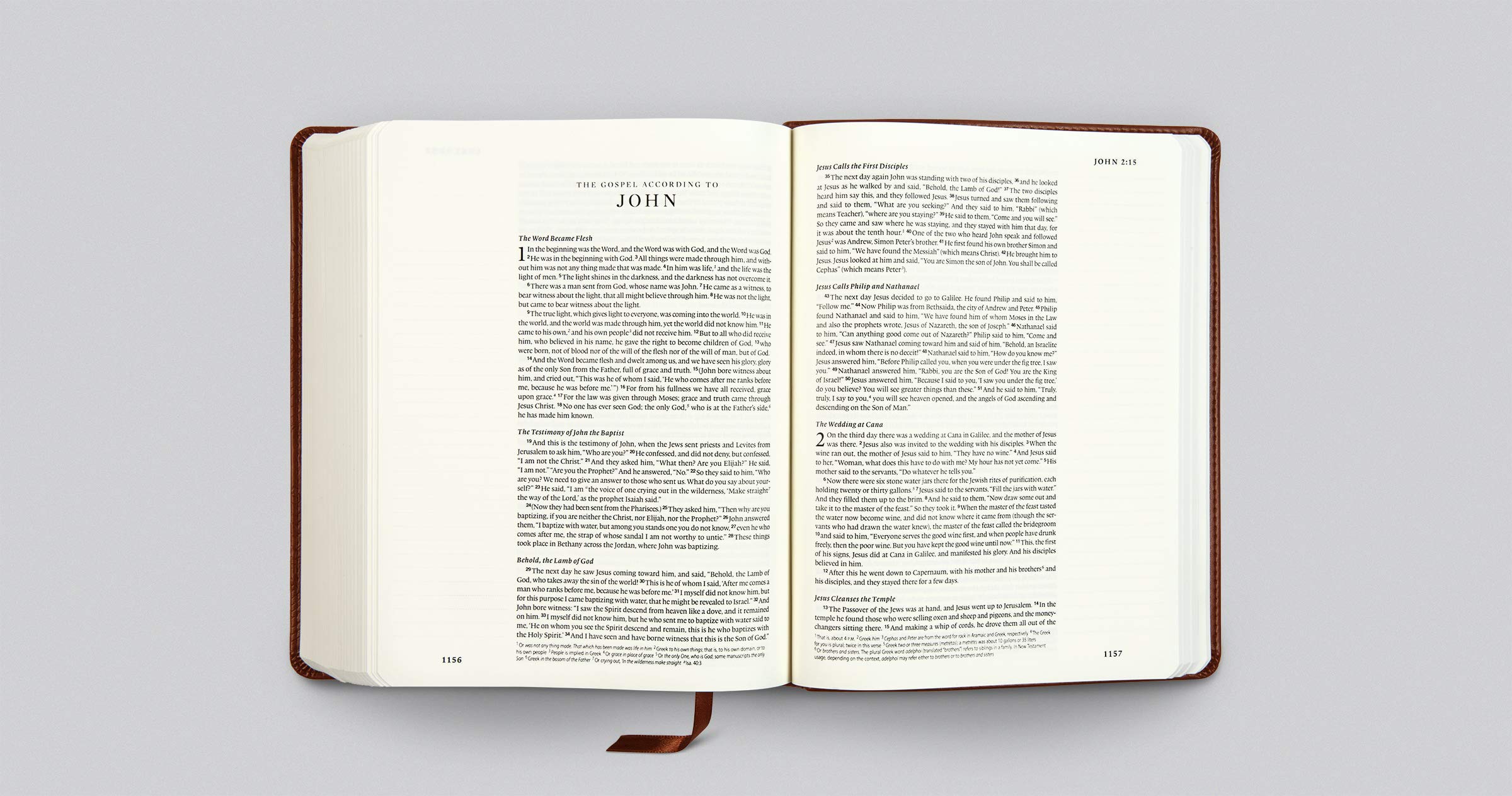 ESV Single Column Journaling Bible (TruTone, Chestnut, Leaves Design)