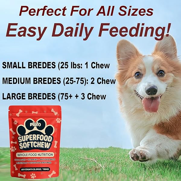 WXDOAU PLUTO SOFTCHEW – 25-IN-1 FORMULA FOR DOGS, SUPPORTS JOINT MOBILITY, DIGESTIVE & SKIN HEALTH, OMEGA & PROBIOTICS FORMULA –SMALL/MEDIUM/LARGE DOGS, SALMON FLAVOR, 60 COUNTS