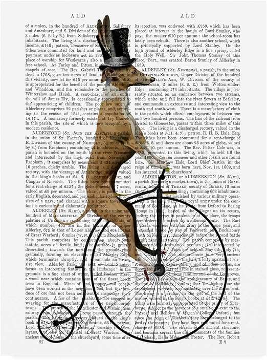 penny farthing bike amazon