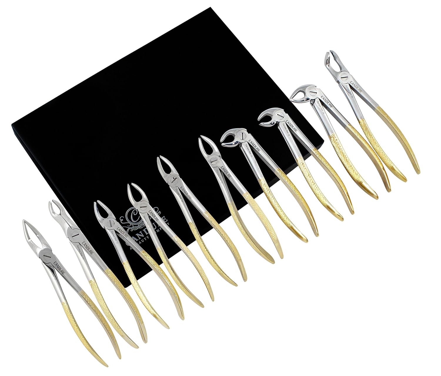 Juego de Fórceps para Extracción de Dientes Herramienta de Cirugía de Dentista