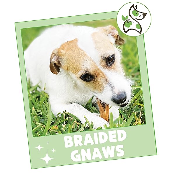 NATURE GNAWS BRAIDED GNAWS FOR DOGS 5-6″ (12 COUNT) – LONG LASTING FOR SMALL AND MEDIUM DOGS – NATURAL BEEF BULLY STICK COMBO BRAIDS – RAWHIDE FREE