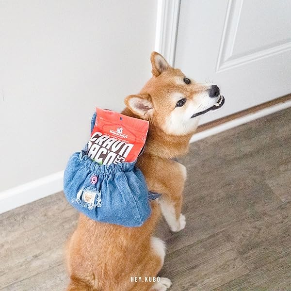 STELLA & CHEWY’S TRAINING DOG TREATS – CRAV’N BAC’N SOFT BACON & PORK BITES – PREMIUM USA MADE – LOW CALORIE REWARDS – 8.25OZ