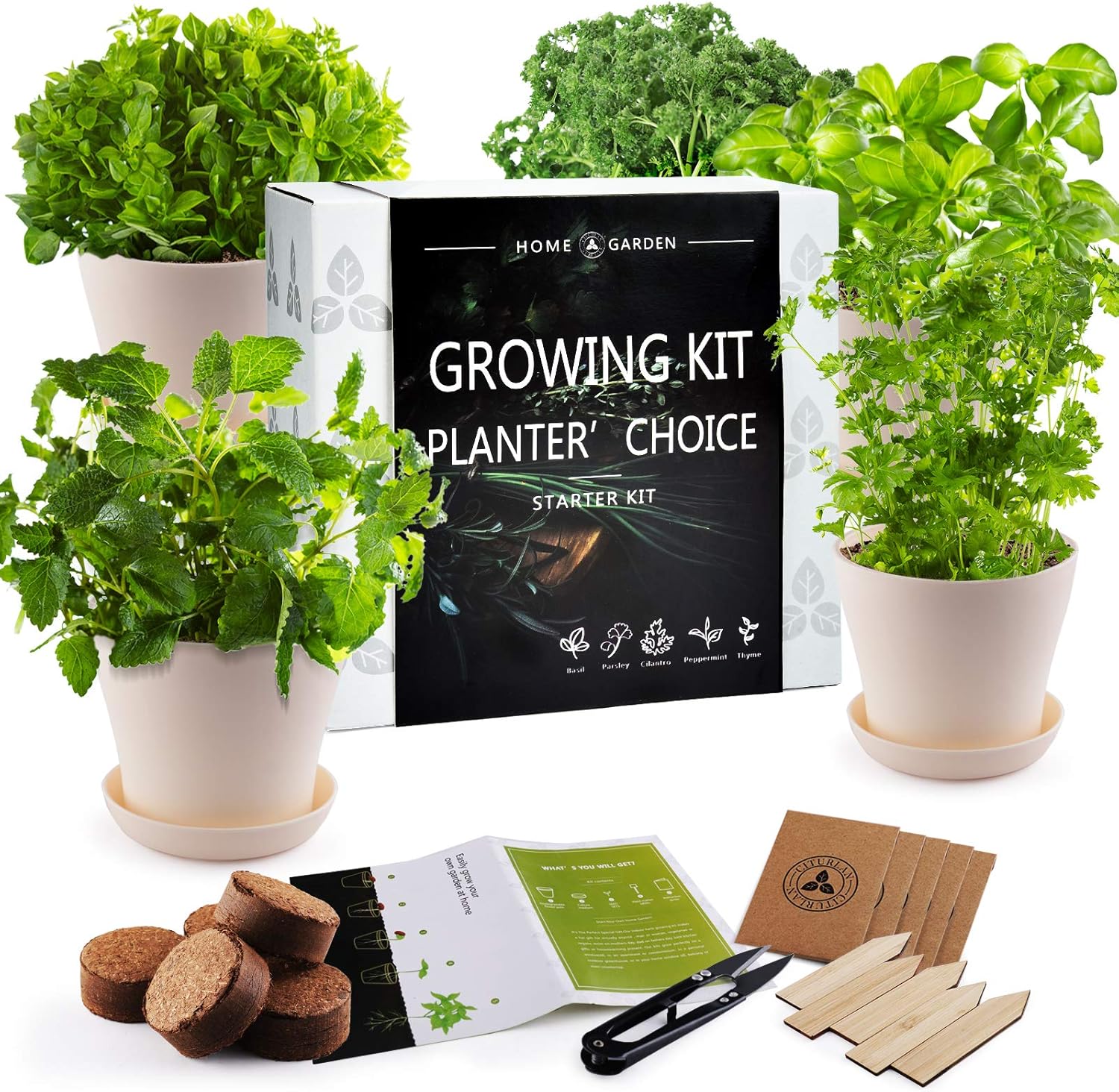 JC-JDFMY11 Herb Garden Starter Kit - DIY Kitchen Window Sill Starter Kit-Easily Grow 5 Kinds of Plants, Basil,Parsley,Cilantro,Mint,Thyme, a Unique Gardening Gift