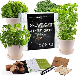 JC-JDFMY11 Herb Garden Starter Kit - DIY Kitchen Window Sill Starter Kit-Easily Grow 5 Kinds of Plants, Basil,Parsley,Cilantro,Mint,Thyme, a Unique Gardening Gift