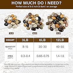 NUPICK 12lb River Rocks for Plants Indoor, 2-3Inch