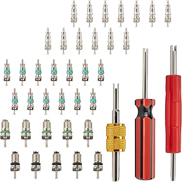 Kit De 10 Noyaux De Valve Pour Climatisation Auto - Outil De Réparation AC - Neuf