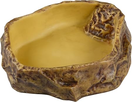 reptile corner water dish