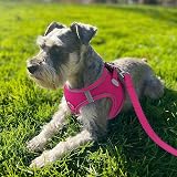 Joytale Pink Step In Dog Harness Reflective Breathable Easy Walk XL Medium Dogs view 2