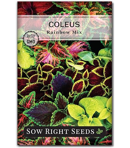 food garden seeds Organic Veggie Garden 5-Pack Seed Bundle