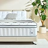 Sozlo Queen Mattress 12 Inch, Queen Size Mattress