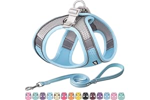 AIITLE Dog Harness, Summer No-Pull Cat Harness with a Leash, Adjustable Reflective Dog Vest, Cat Harness Escape Proof, Outdoor Walking, Running,Training for Extra Small Dogs and House Cats Blue XXXS