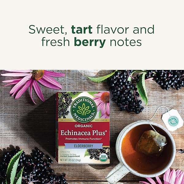 TRADITIONAL MEDICINALS TEA, ORGANIC ECHINACEA PLUS ELDERBERRY, BOOSTS THE IMMUNE SYSTEM, 16 TEA BAGS