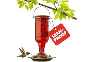 More Birds Red Jewel Hummingbird Feeder, Glass Bottle, 5 Feeding Ports and 20-Ounce Nectar Capacity (76IN)