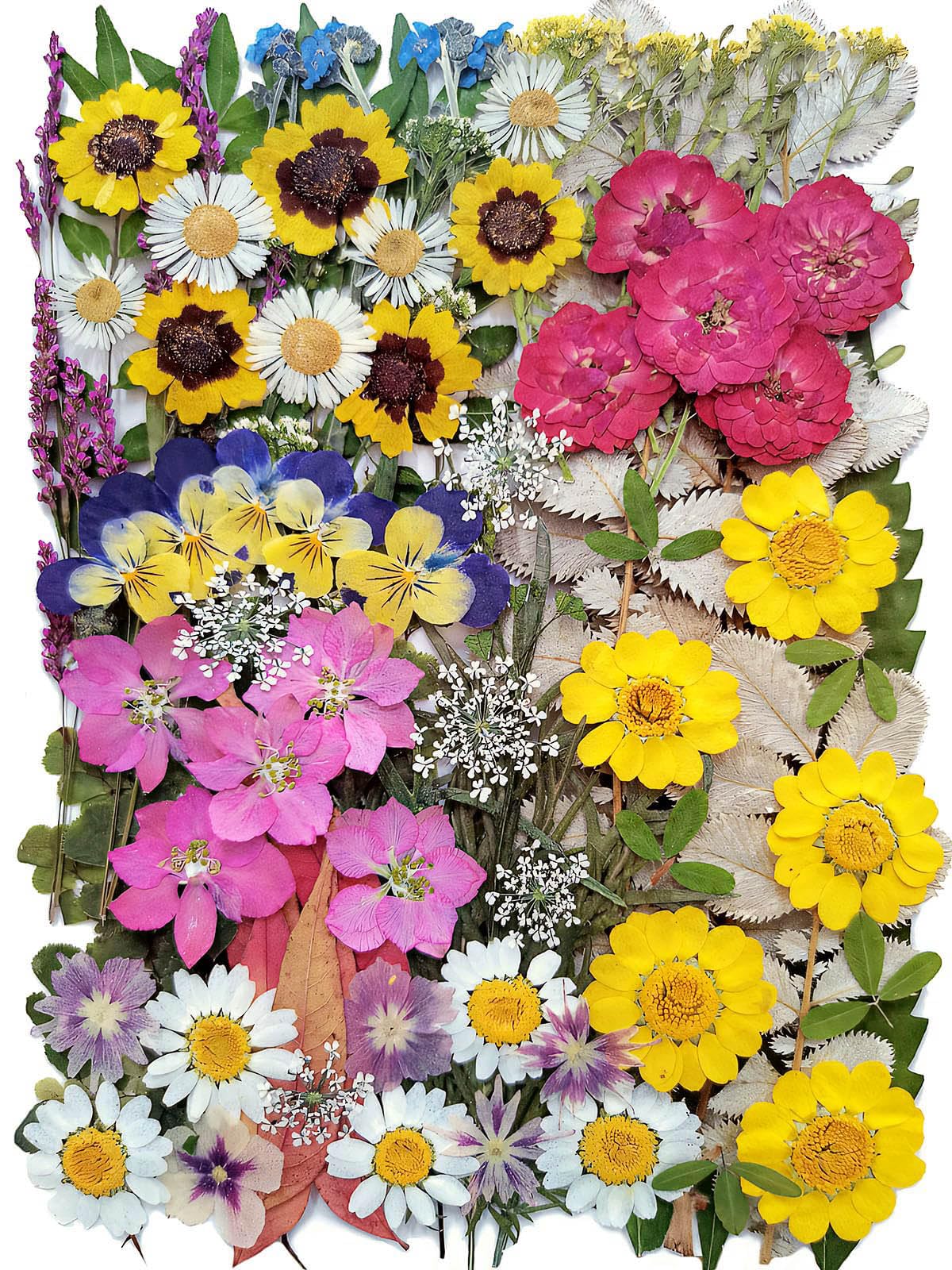 Photo 1 of 100 PCS Real Dried Pressed Flowers Leaves Natural Plant Herbarium for DIY Resin Mold Jewelry Making Craft(Colorful)