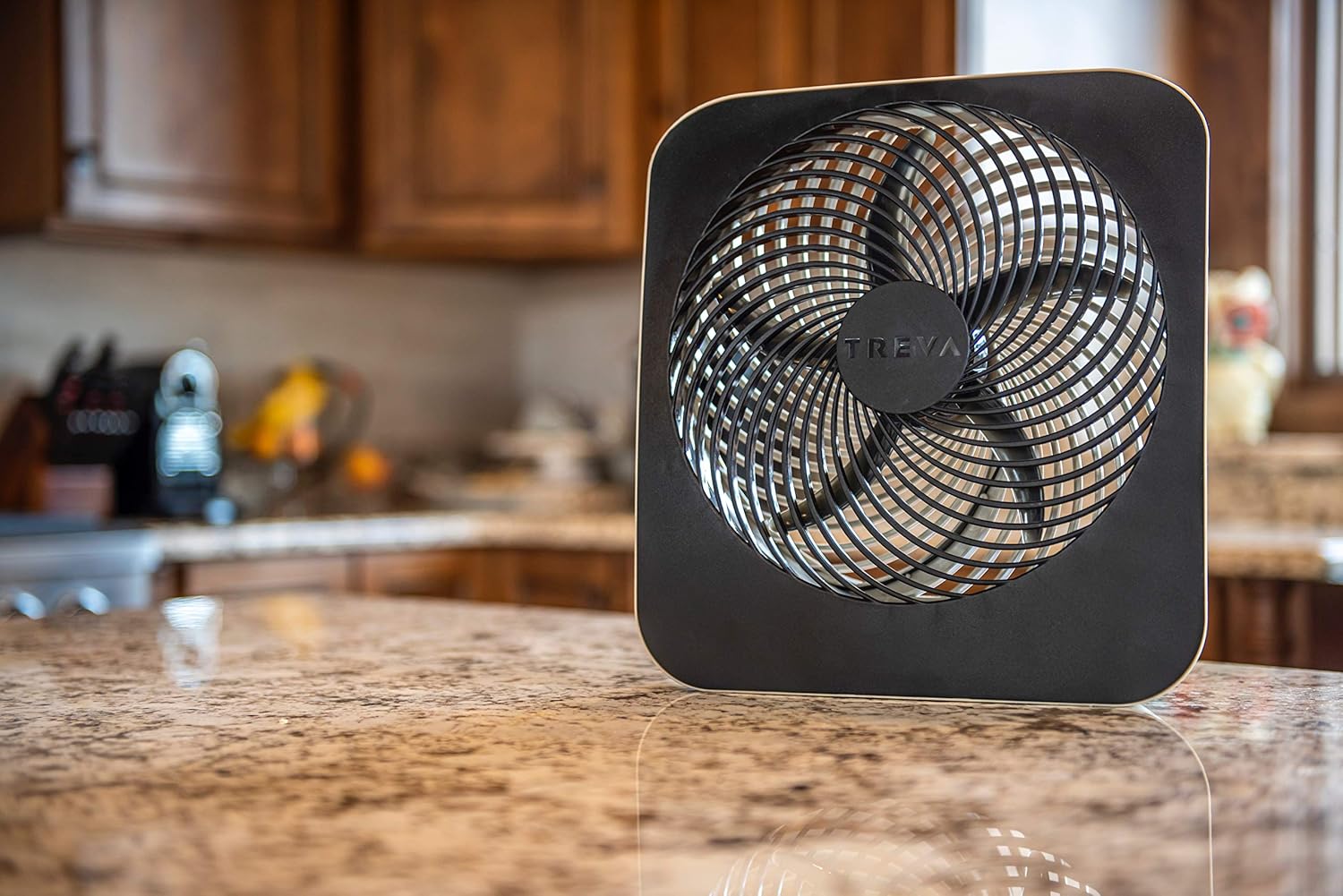 Treva 10-Inch Portable Desktop Air Circulation Battery Fan - 2 Cooling Speeds - With AC Adapter: Garden & Outdoor