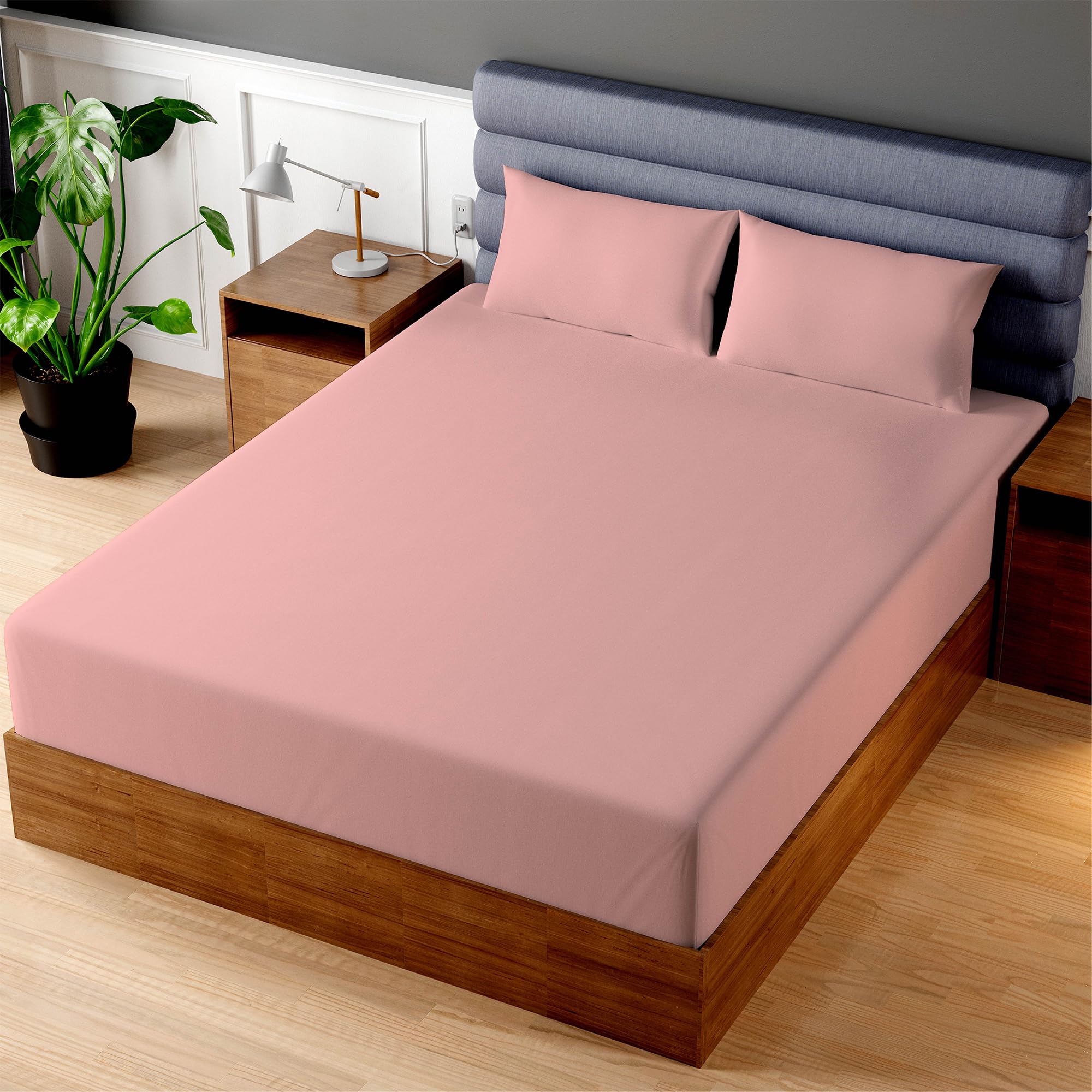 Photo 1 of Superity Luxurious Hotel Quality Queen Fitted Sheet 100% Cotton Ultra Soft, Skin-Friendly & Hypoallergenic Deep Pocket Fits 16 Mattress Easy Care & Snug Fit (Queen Size - 60 X 80)