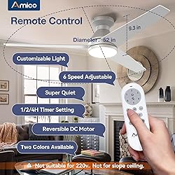 Amico Ceiling Fans with Lights, 52 inch Low Profile