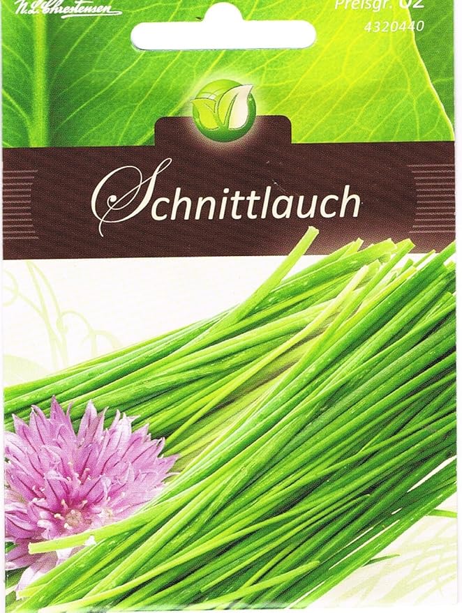 Schnittlauch mehrjährig