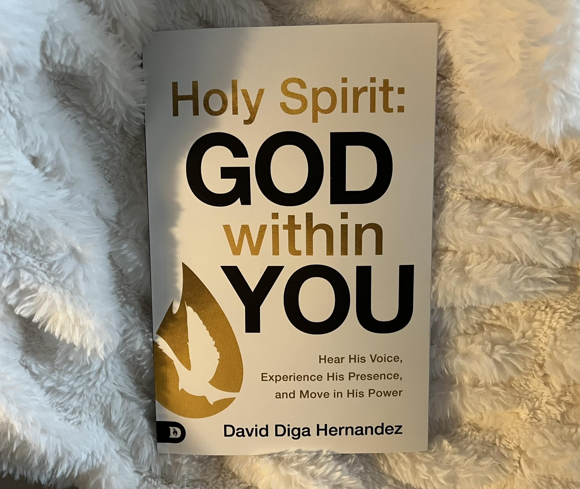 Holy Spirit: God Within You: Hear His Voice,Experience His Presence,and Move in His Power