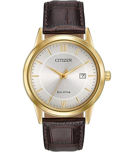 Amazon.com: Citizen Men's Eco-Drive Weekender Watch in Gold-Tone