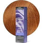 L'Or&eacute;al Technique Excellence Cr&egrave;me Hair Color