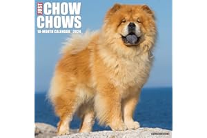 Willow Creek Press Chow Chows Monthly 2024 Wall Calendar (12" x 12")