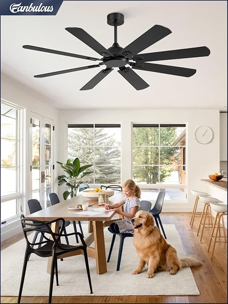 FANBULOUS 62 INCH CEILING FANS NO LIGHT WITH REMOTE, MODERN CEILING FAN WITHOUT LIGHT, DUAL FINISH 8 BLADES, REVERSIBLE QUIET DC MOTOR, 6 SPEED, LARGE CEILING FAN FOR INDOOR OR COVERED OUTDOOR, BLACK