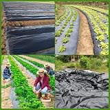 KAHEIGN 2m x 3m Black Polythene Sheeting 0.25mm Thick Garden Polytunnel Cover view 7