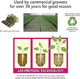 Haxnicks Maxi Rootrainers | Extra Deep 40 Cell Planting Pots | Black view 4