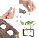 Hyindoor Desktop Glass Planter Propagation Station with Wooden Stand Rack view 3
